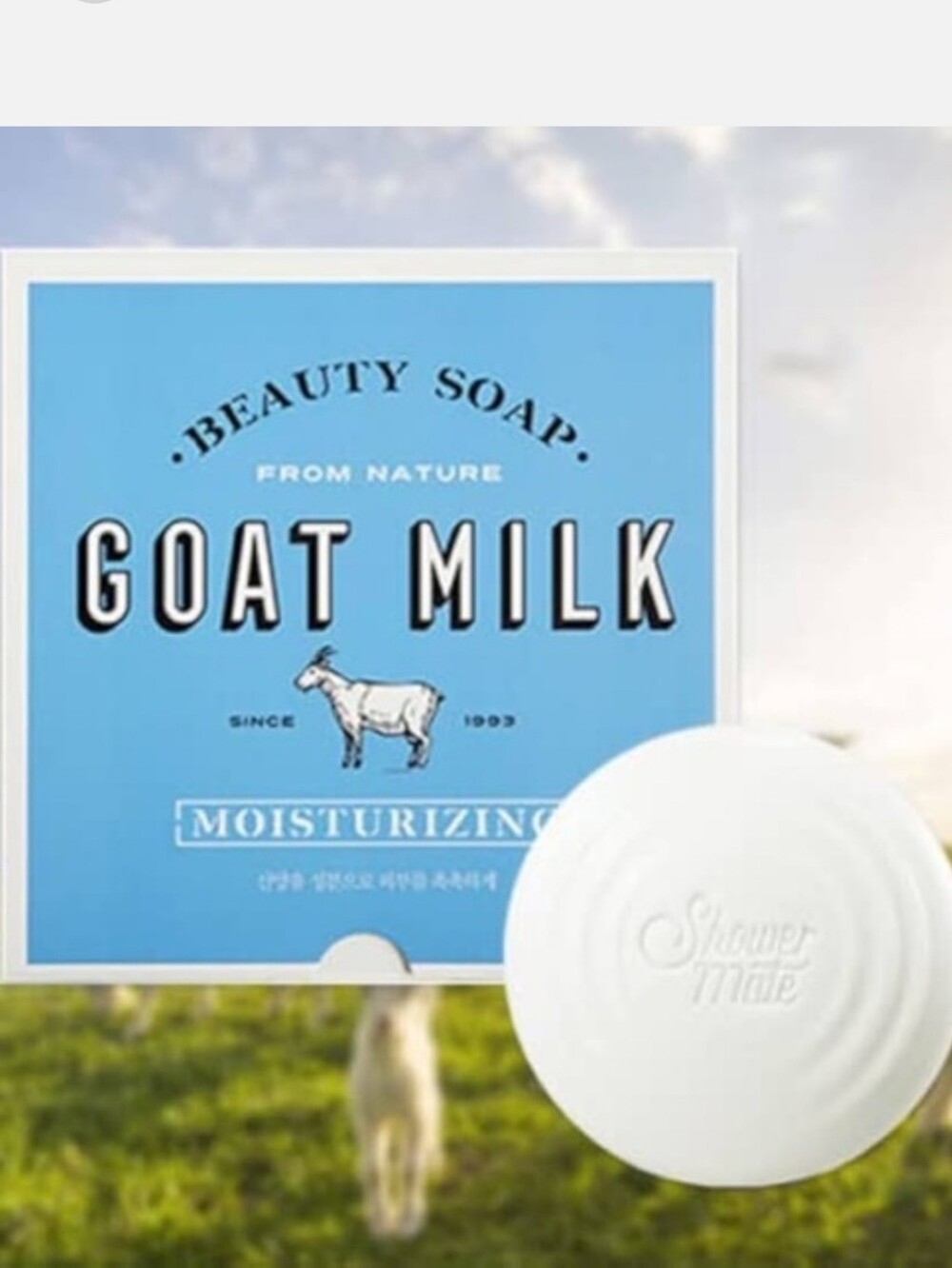 Goat Milk Bar Soap (12)